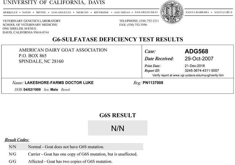 Lakeshore-Farms Doctor Luke