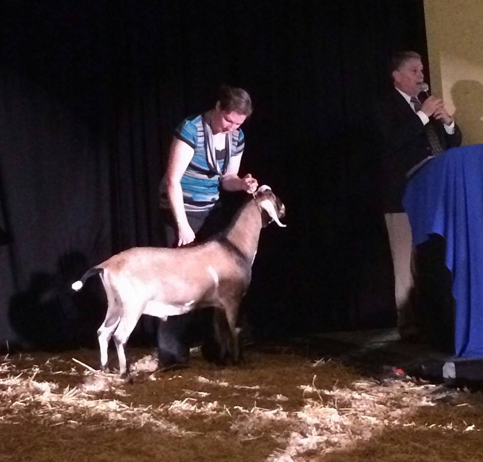 GCH Lakeshore Wild West Showdown