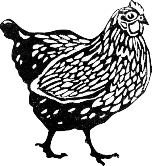 chookie